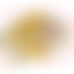 🐱체다의 그림일기📖