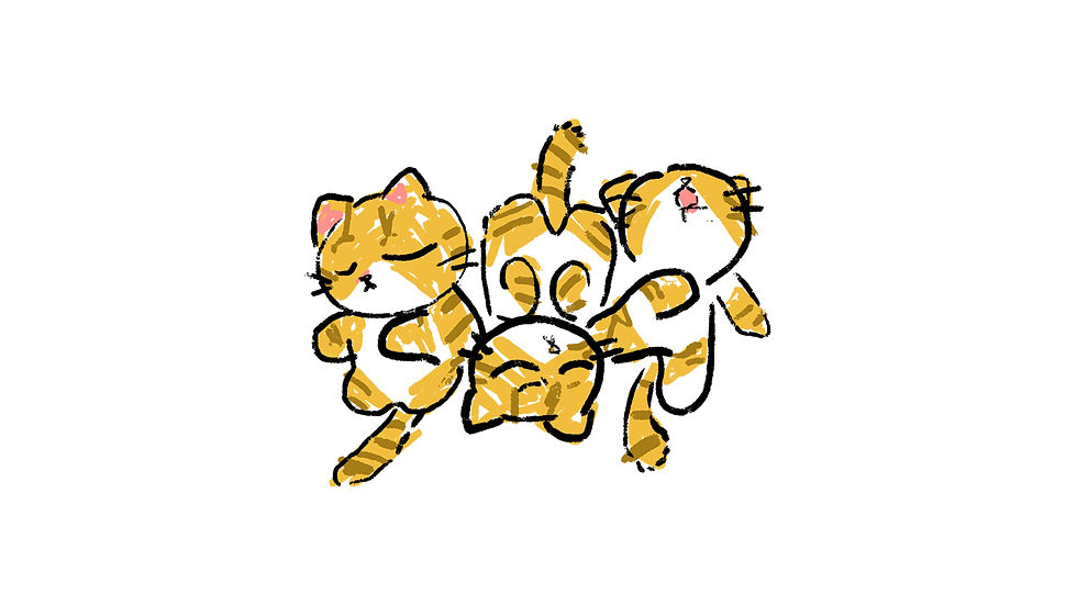 ๐ฑ์ฒด๋ค์ ๊ทธ๋ฆผ์ผ๊ธฐ๐