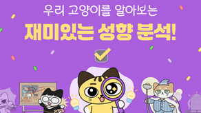 [OPEN] 고양이 성향 분석 서비스!
