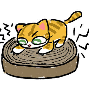 🐱체다의 그림일기📖