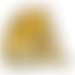 🐱체다의 그림일기📖