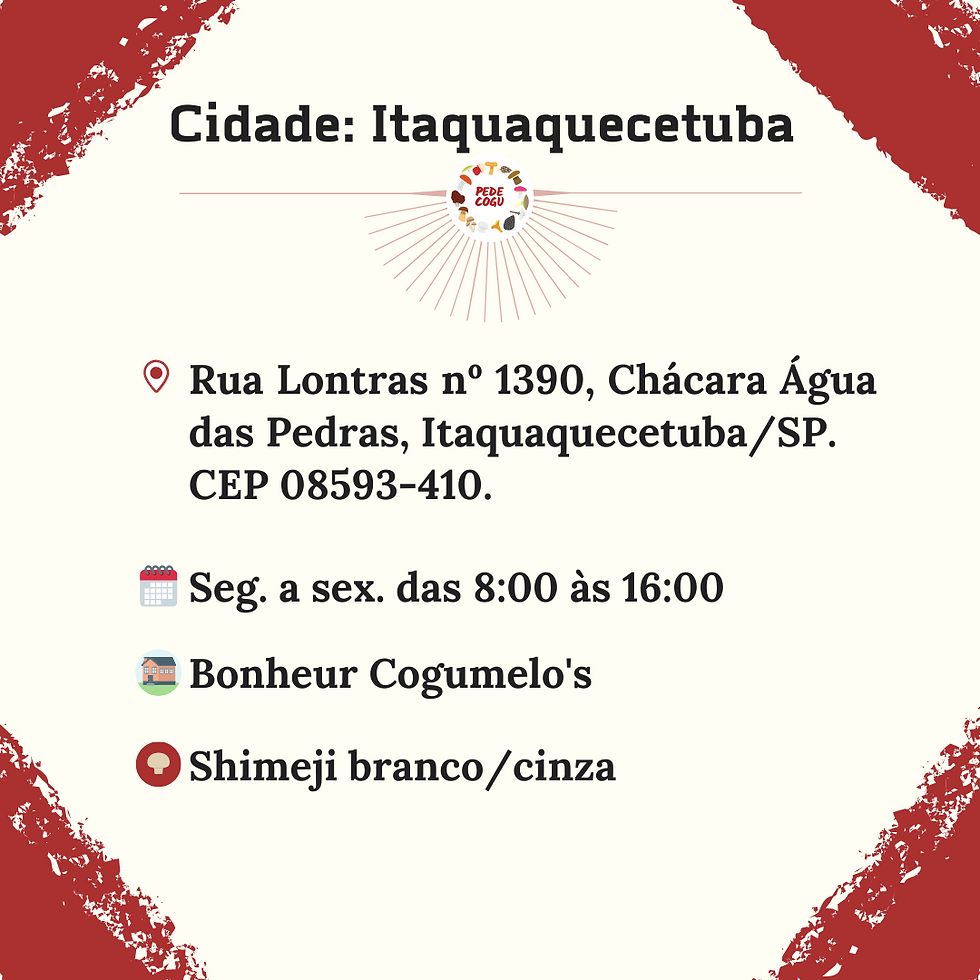 Itaquaquecetuba