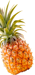 hermosa-pina-fresca-aislada-sobre-fondo-