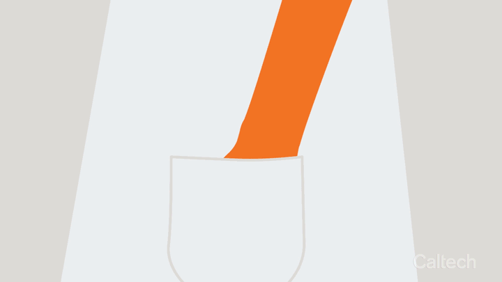 Pocket.gif