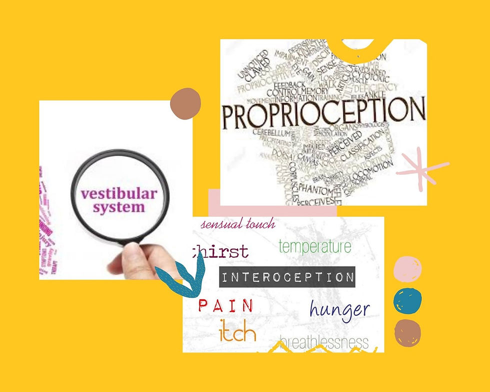 Pekte Farkında Olmadığımız 3 Duyumuz; Vestibüler, Propriosepsiyon ve İnterosepsiyon