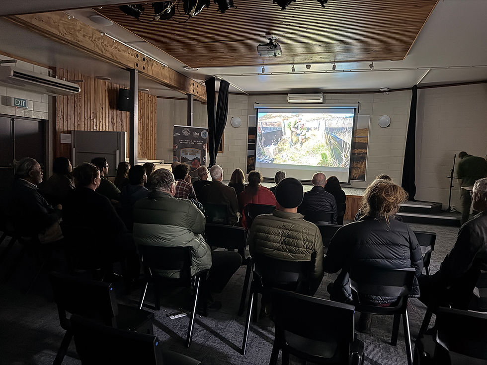 Auckland Screening
