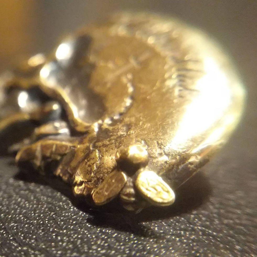 サムネイル： KAUS- Yamamulo Tomohilo × hellbent lab.アクセサリー《死想》真鍮ハットピン