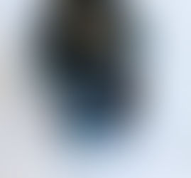 Hệ thống thuế vụ Mỹ hiện đại đến mức nào?