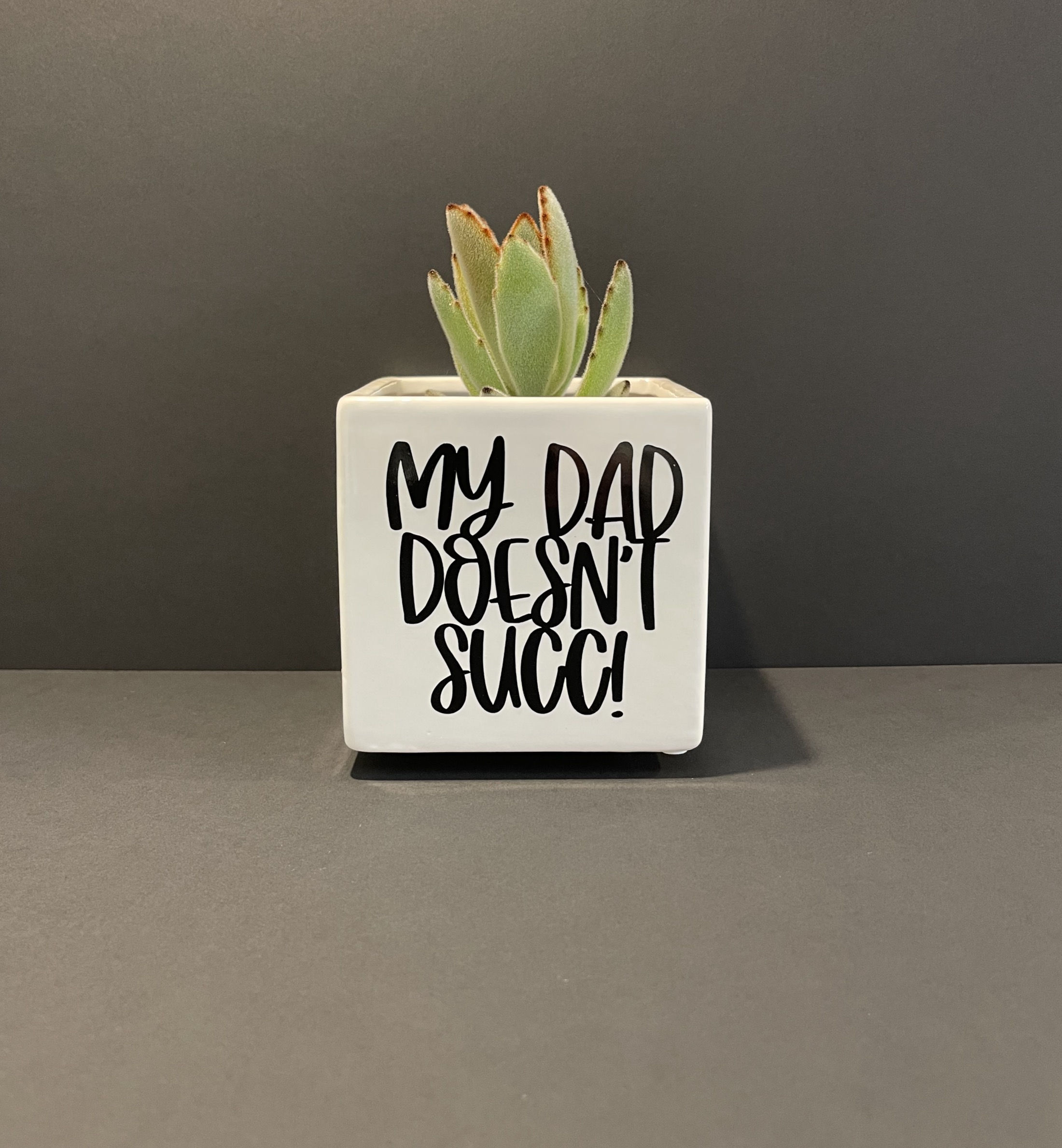 MY DAD DOESN'T SUCC!