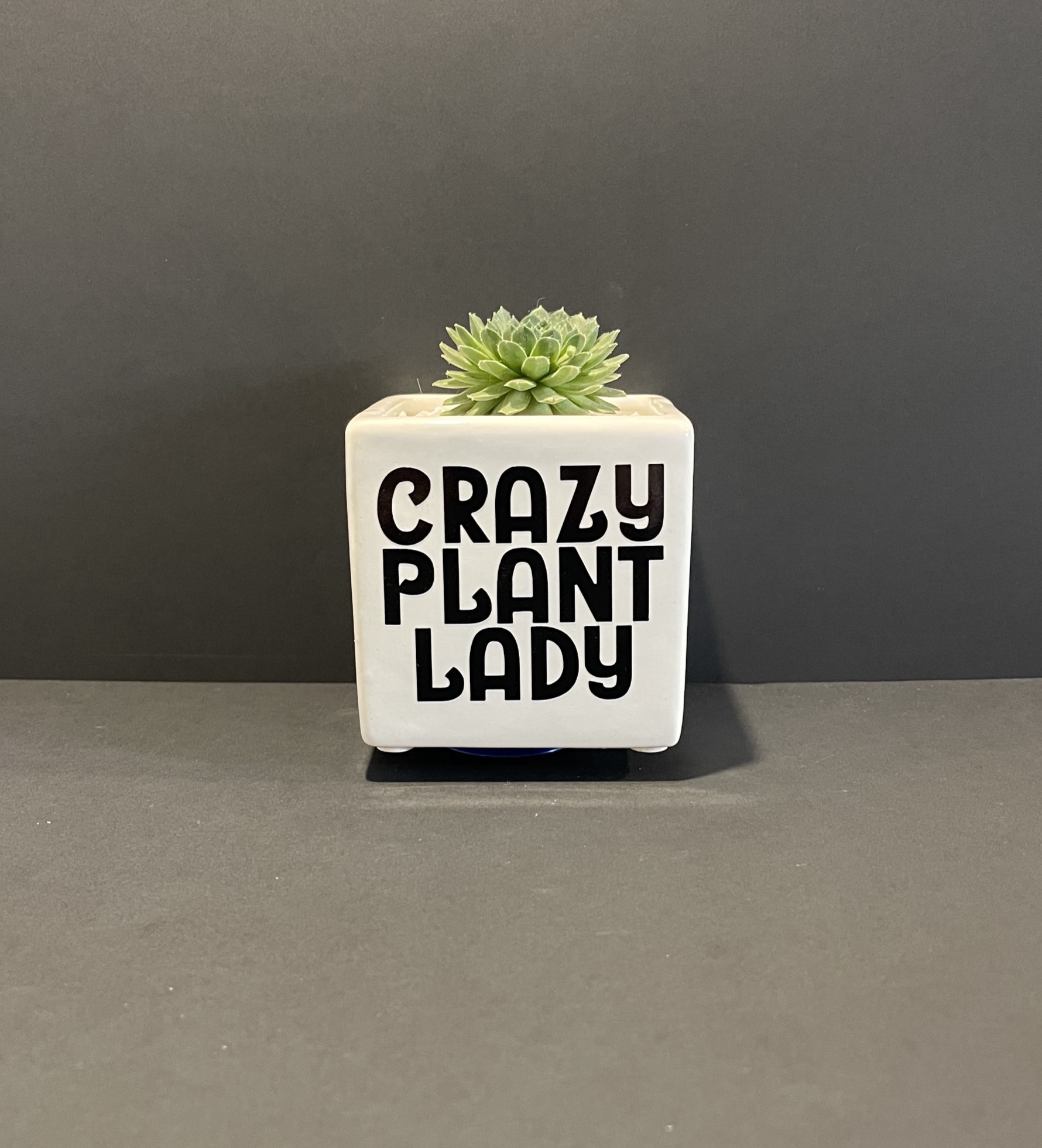 CRAZY PLANT LADY