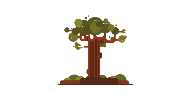 Baob%25C3%2583%25C2%25A1_Geneal%25C3%258