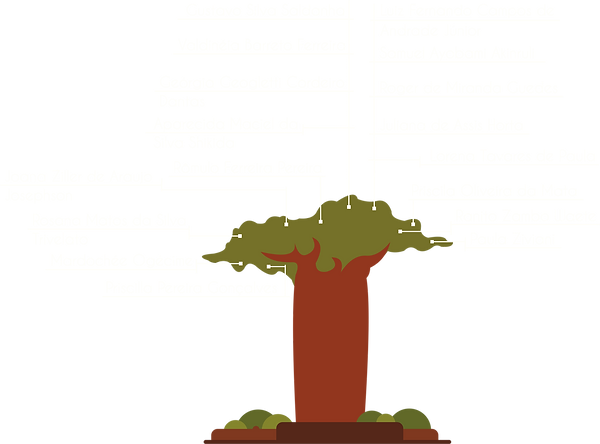 Baobá Genealógico Cida 2_edited.png