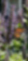 IMG_0637.jpeg