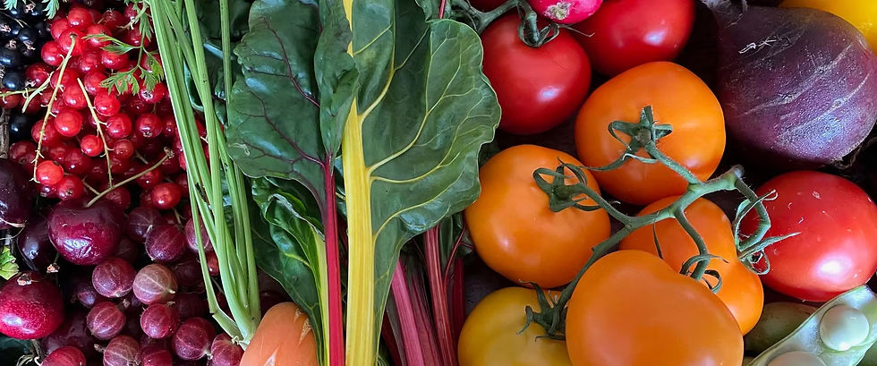 Whole Food Medicine