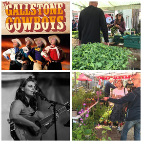 6th July Llandovery Farmers Market will be biggest one yet! 