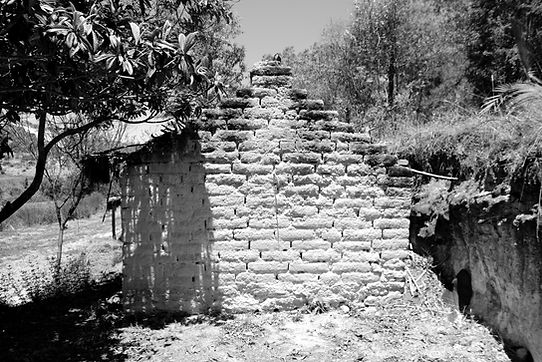 IMG_0313 (1)_edited.jpg