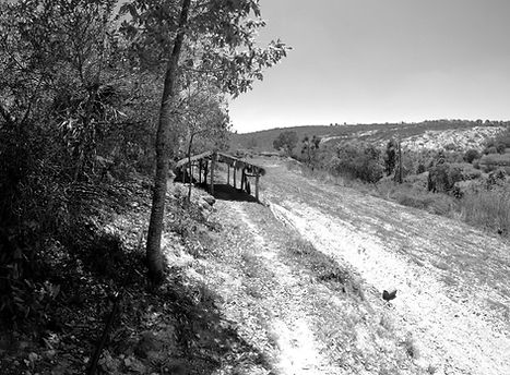 GOPR1044_ALTA298940869279051608 (1)_edit