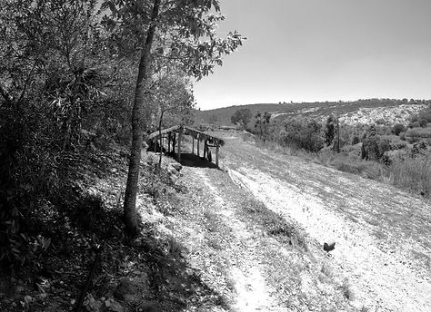 GOPR1044_ALTA298940869279051608 (1)_edit