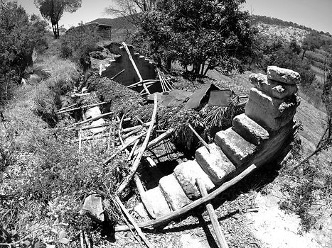 GOPR0979_ALTA298940869279051608_edited.j