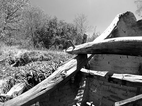 GOPR1003_ALTA298940869279051608_edited.j
