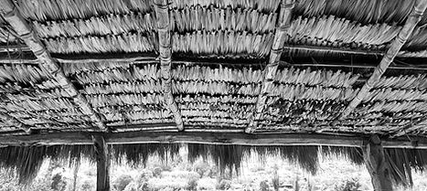 20250404_132610(0)_edited.jpg
