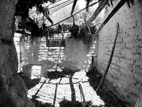 GOPR0994_ALTA298940869279051608_edited.j