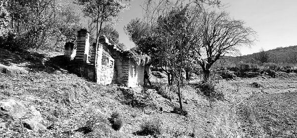 20250404_151604_edited.jpg