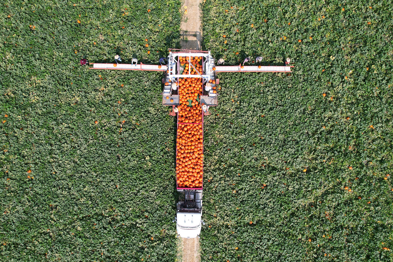 DJI_0613.JPG
