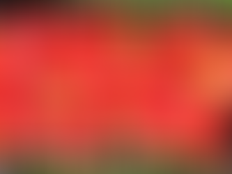 Visiting the New Life Children's Home and Mexican Train