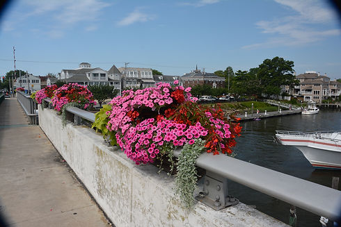 bridge hayracks by Sue Sandmeyer.jpg