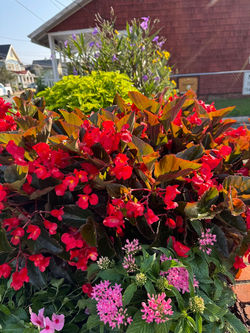 fire station annuals