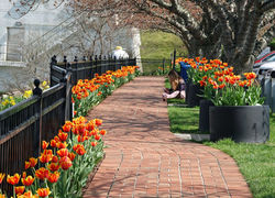1812 Park
