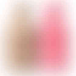 Saltair Body Wash Santal Vanilla: Santal Bloom & Pink Beach