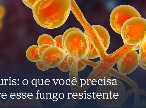 Cândida auris: o que você precisa saber sobre esse fungo resistente