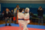 Kumite match
