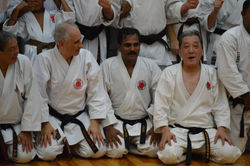 MAster Soke (2)