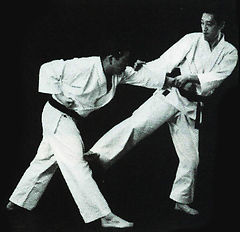 Itosu-ryu Karate