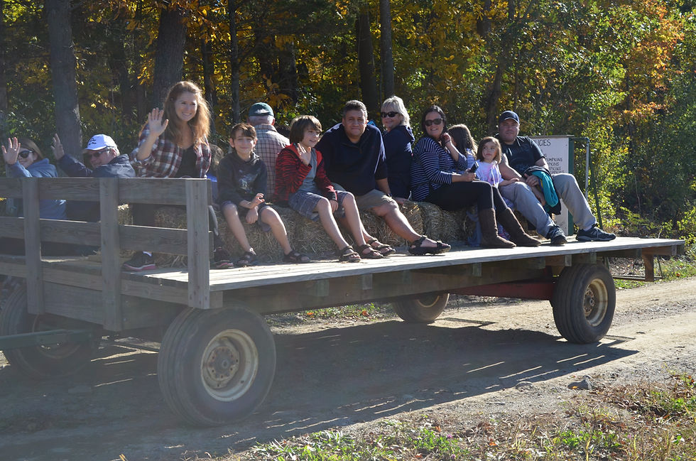 FREE HAYRIDES!