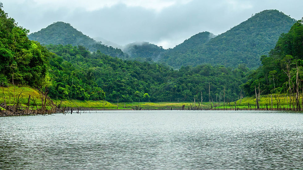 belizewise_adventure_river_canyon_access_03.jpg.JPG