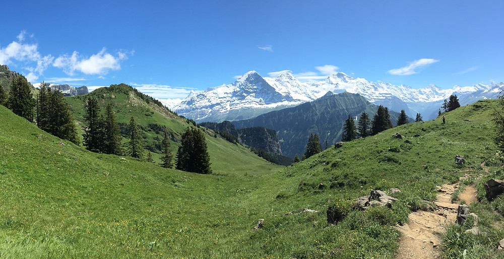 Schynige Platte