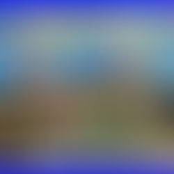 Congregação Nova Canaã Celebra o Dia das Crianças com Festa Especial(Veja os Videos)