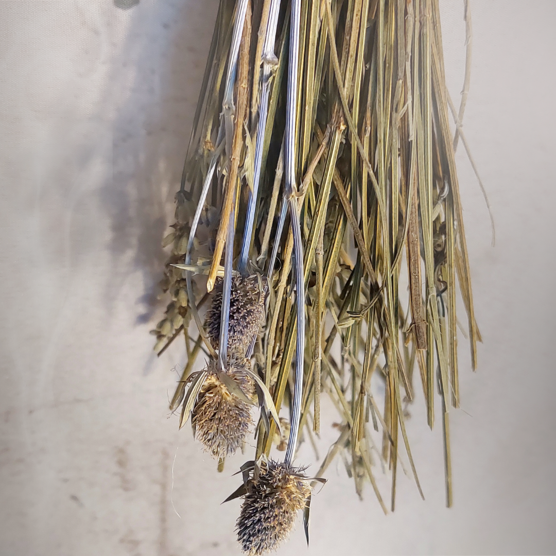 Focus sur les brins de lavande et de chardon constituant la base du balai d'autel magique destiné à la purification