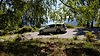 IMG-20180905-WA0017.jpg