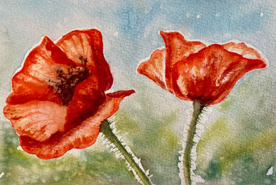 Poppies: Advanced Beginner Level 2 / Intermediate Watercolor Class