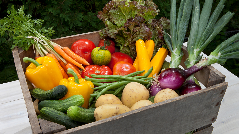 CSA Recipes - October 21, 2026