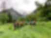 08562A94-294A-4E5B-A329-B993AABBE8CA.jpeg