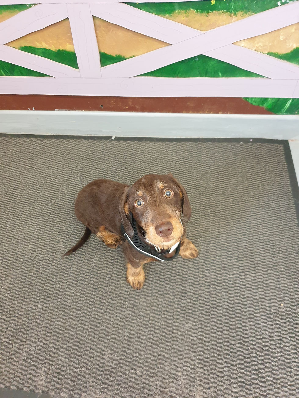 Walter