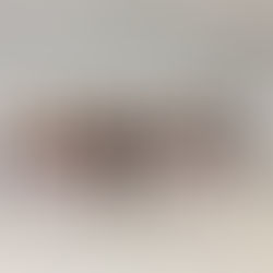 【プログラム】2017‐A・G・S ‐