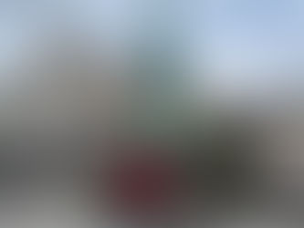 ベルギー王立アントワープロイヤルバレエスクール入学