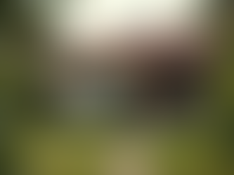 Seguros e Financiamentos: Como Encontrar as Melhores Opções